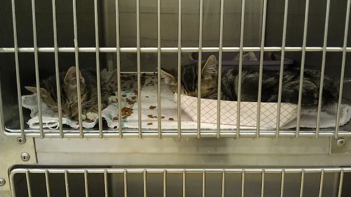 Gunston Animal Hospital Picture 7