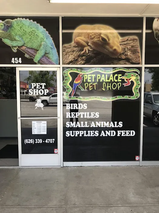 Pet Palace Picture 6