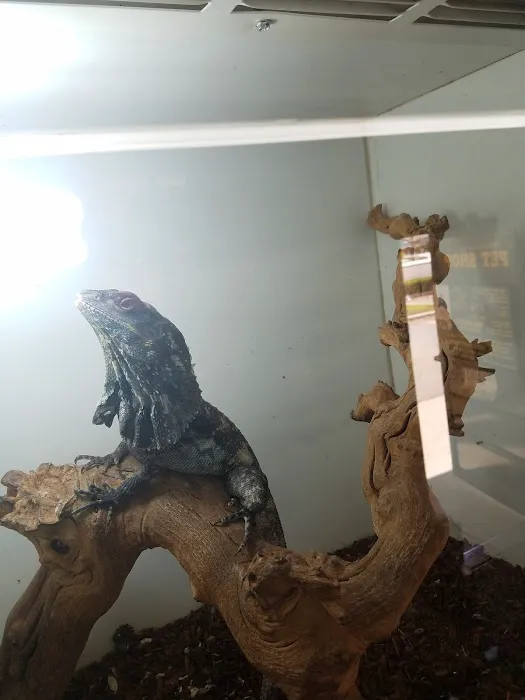 Pet Palace Picture 3