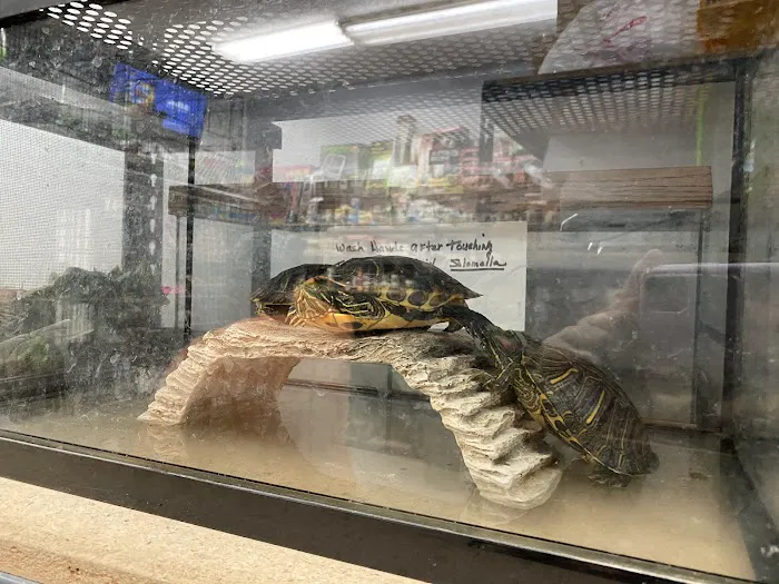Pet Palace Picture 7