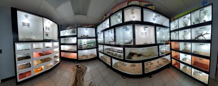 Pet Palace Picture 5