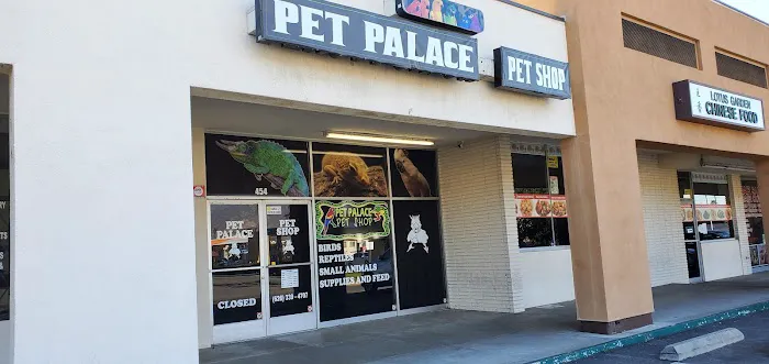 Pet Palace Picture 1