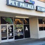 Pet Palace