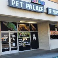 Pet Palace ico