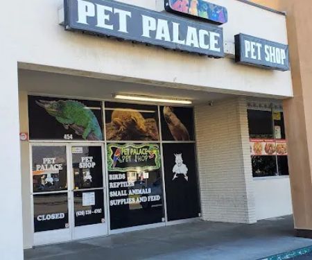 Pet Palace