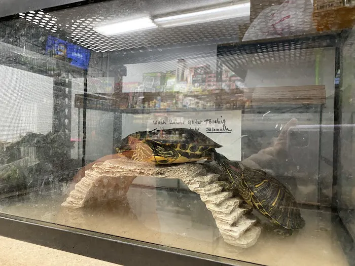 Pet Palace Picture 9