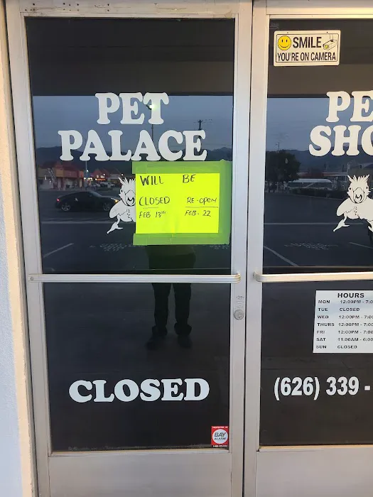 Pet Palace Picture 10