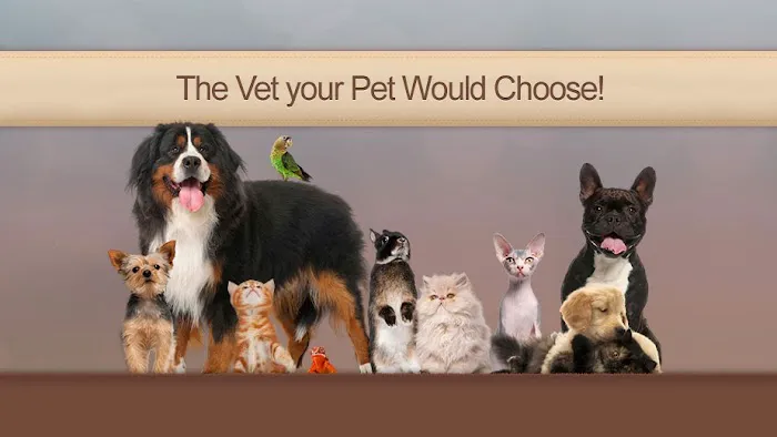 Ridge Lake Animal Hospital Picture 5