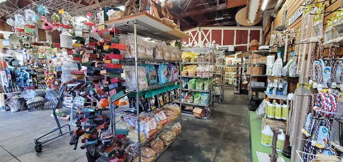San Dimas Grain Picture 3