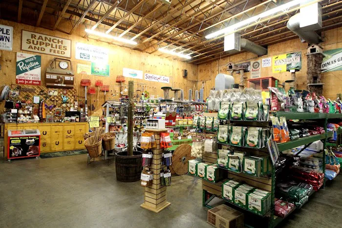 San Dimas Grain Picture 10