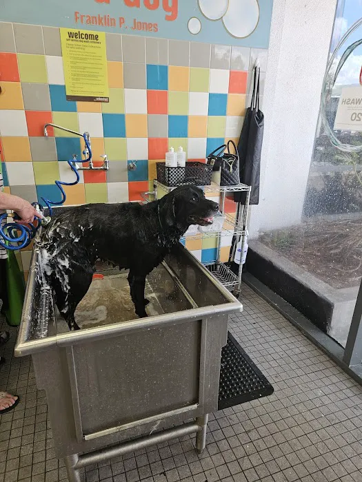 Unleashed by Petco-Closed Picture 6