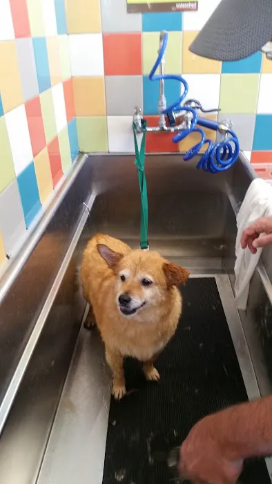 Unleashed by Petco-Closed Picture 10