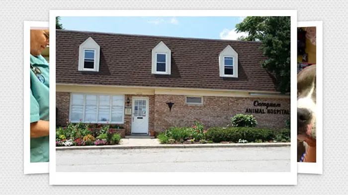 Occoquan Animal Hospital Picture 4