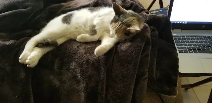 Occoquan Animal Hospital Picture 9