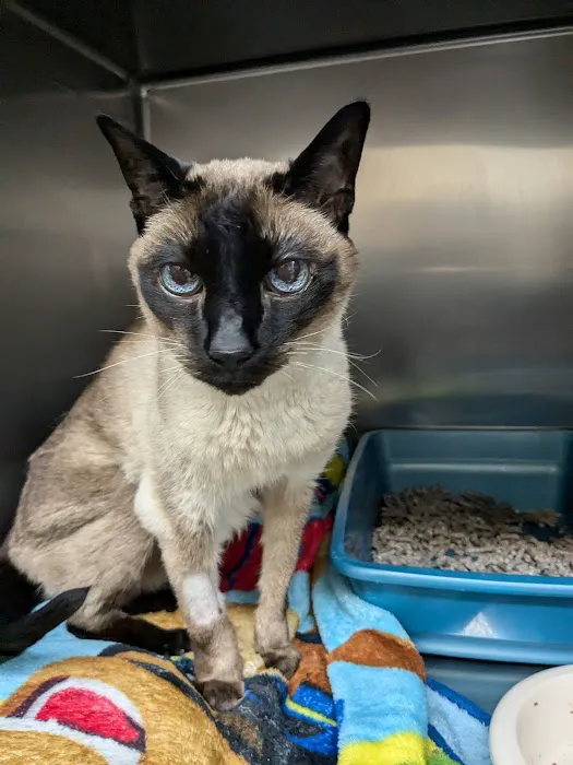 Occoquan Animal Hospital Picture 6