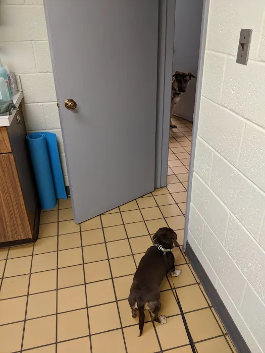 Occoquan Animal Hospital Picture 2