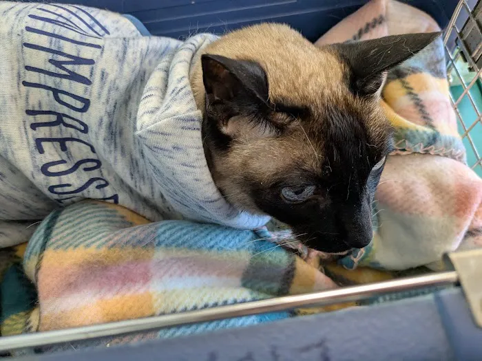 Occoquan Animal Hospital Picture 1