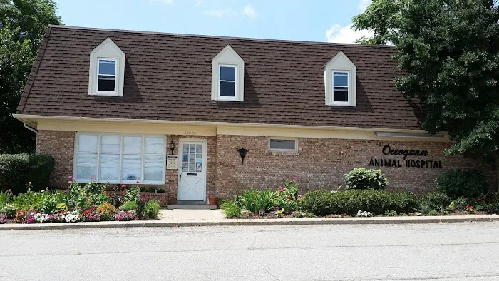 Occoquan Animal Hospital Picture 10