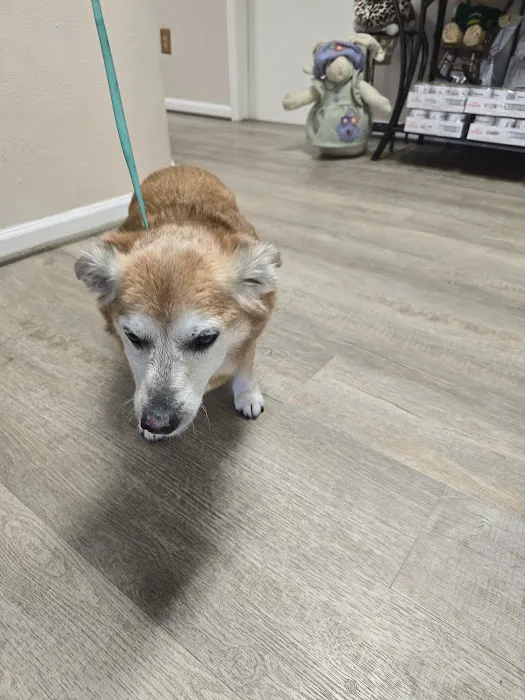 River Oaks Veterinary Clinic Picture 8