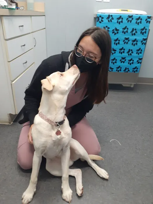 Dale City Animal Hospital Picture 1