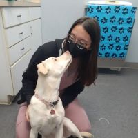 Dale City Animal Hospital ico