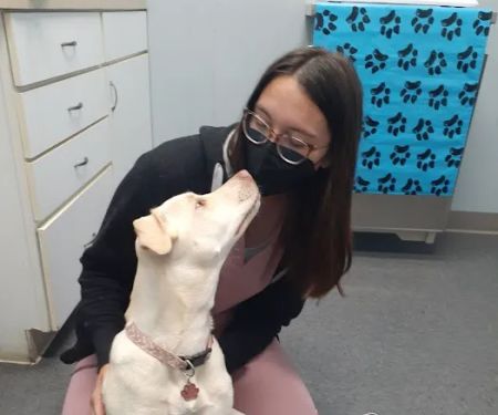 Dale City Animal Hospital