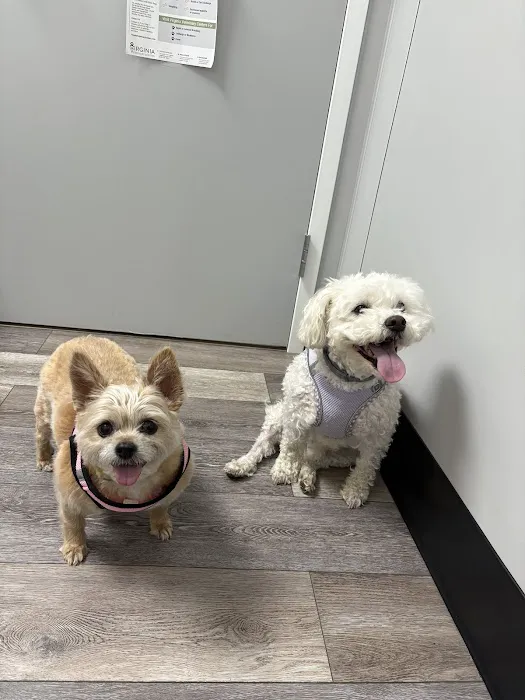 Dale City Animal Hospital Picture 3