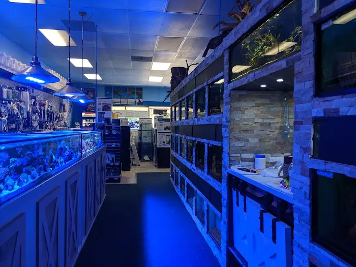 Ocean's Tropical Fish Picture 4