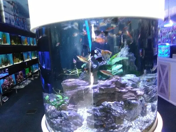 Ocean's Tropical Fish Picture 5