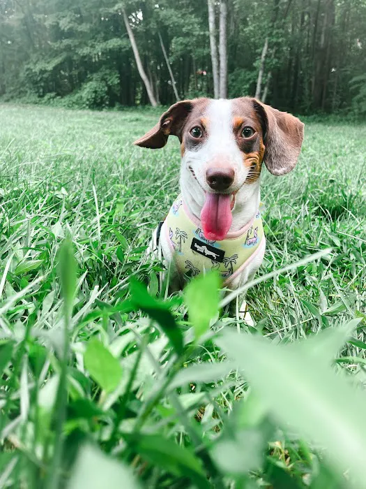 Tackett's Mill Veterinary Hospital Picture 7