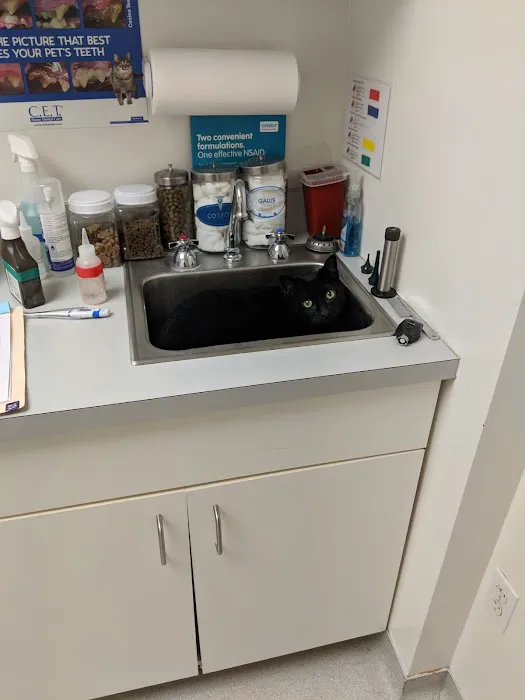 Tackett's Mill Veterinary Hospital Picture 10