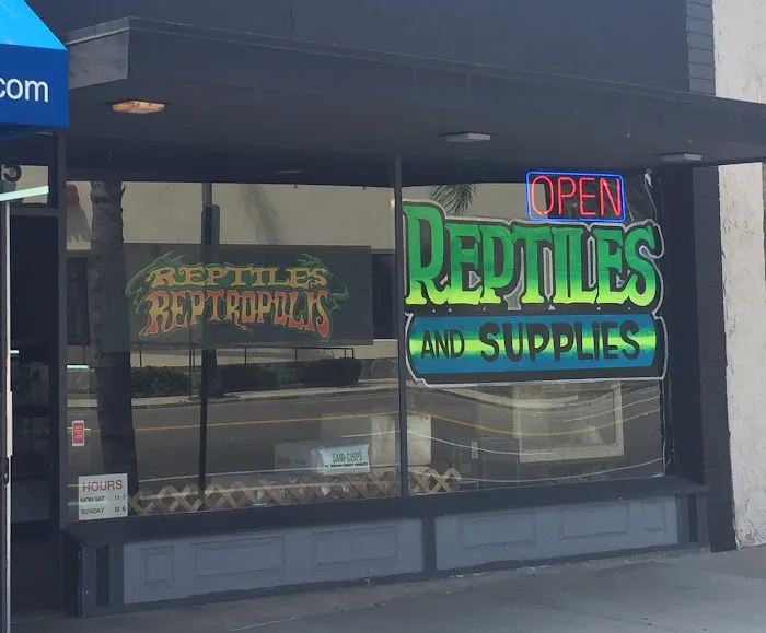 Reptiles Reptropolis Picture 7