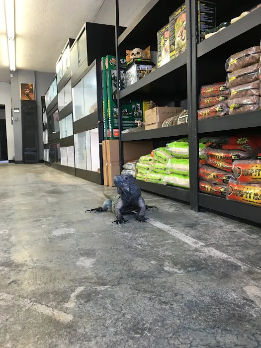 Reptiles Reptropolis Picture 10