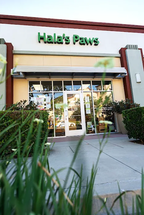 Hala's Paws Picture 6
