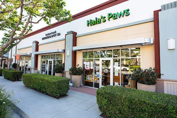 Hala's Paws Picture 5