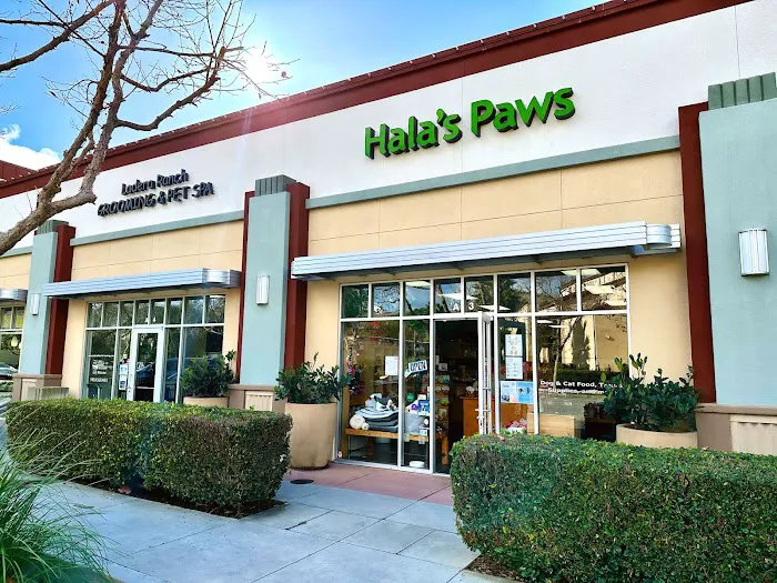 Hala's Paws Picture 9