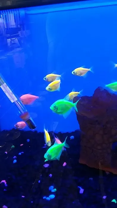 Petco Picture 2