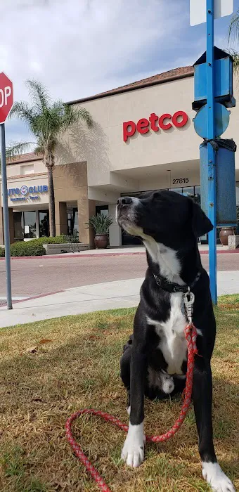 Petco Picture 1