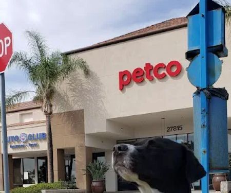 Petco