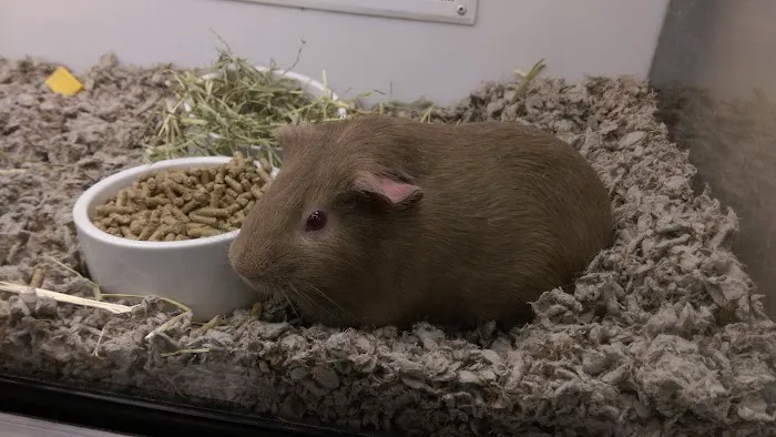 Petco Picture 6