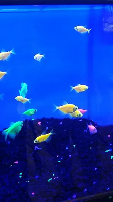 Petco Picture 5