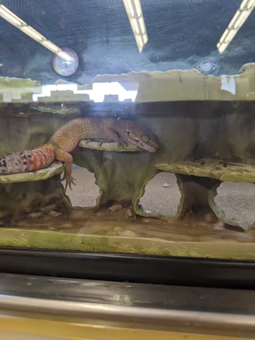 Petco Picture 4