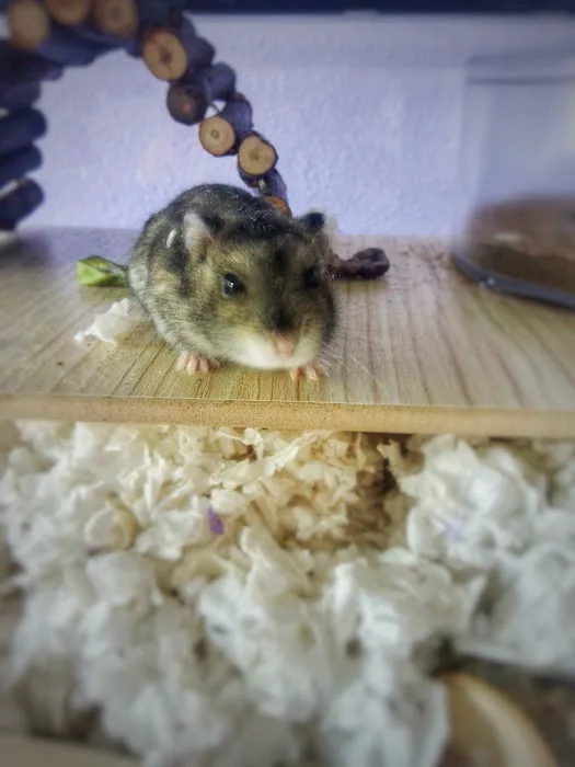Petco Picture 9