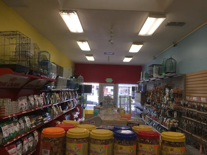 Pets R Us, Pet Grooming & Supplies Picture 10