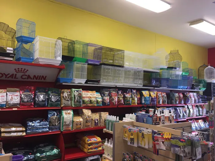 Pets R Us, Pet Grooming & Supplies Picture 9