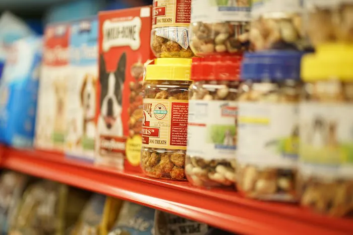 Pets R Us, Pet Grooming & Supplies Picture 7