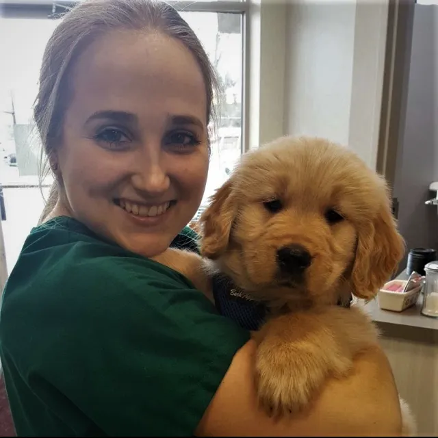 Cherrydale Veterinary Clinic Picture 2