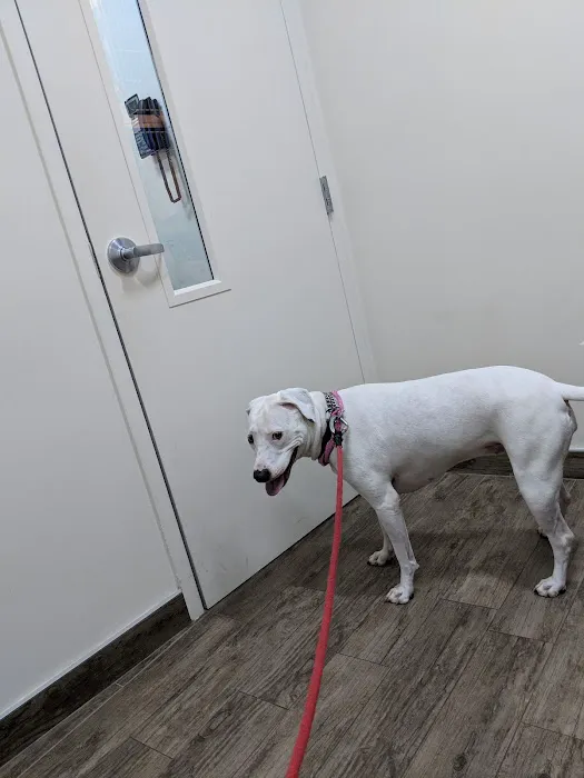 Cherrydale Veterinary Clinic Picture 8