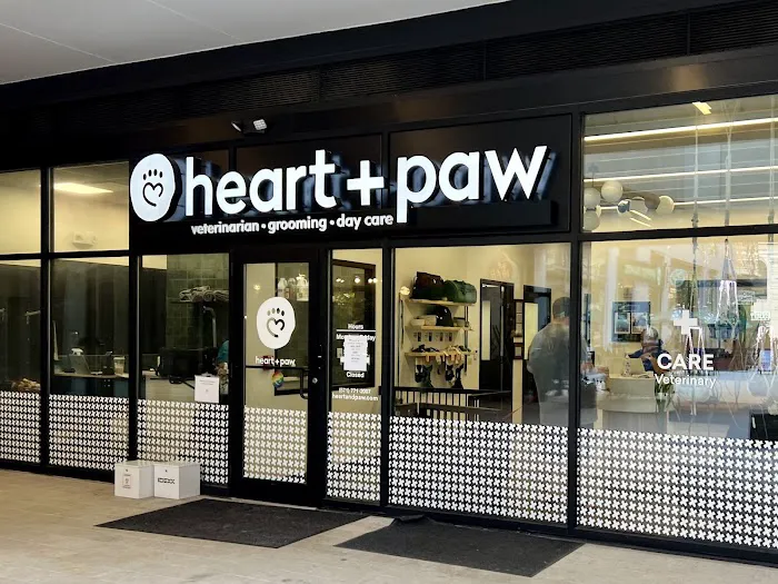Heart + Paw Picture 3