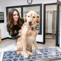 Heart + Paw ico